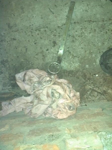 Замена привода ГРМ, установка автоматического натяжителя "пилот" и ...